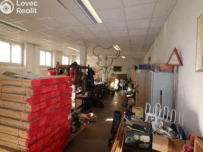 Rent warehouse České Budějovice, Hradební 351 č. 4