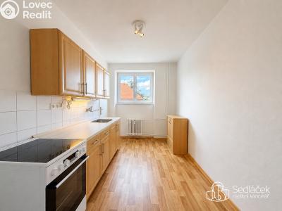 Rent apartment 2+1 Sokolov, Brněnská č. 2