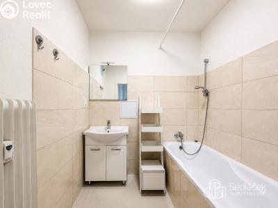 Rent apartment 2+1 Sokolov, Brněnská č. 3