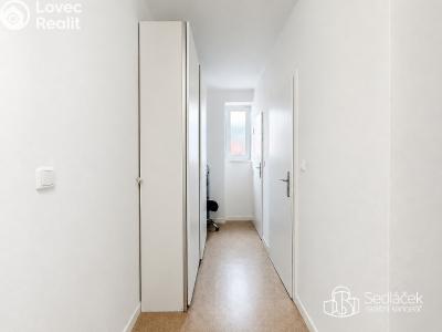 Rent apartment 2+1 Sokolov, Brněnská č. 10