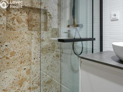 Rent apartment 1+KK Praha, Radlická č. 4