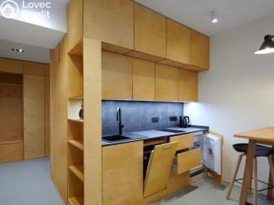 Rent apartment 1+KK Praha, Radlická č. 9