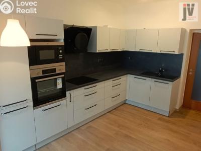 Rent apartment 2+1 Plzeň, Kyjevská č. 1