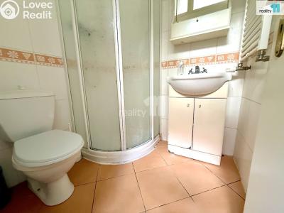 Sale apartment 1+1 Karlovy Vary, Krále Jiřího č. 5
