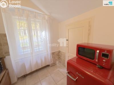 Sale apartment 1+1 Karlovy Vary, Krále Jiřího č. 7