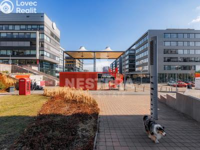 Rent apartment 4+KK Praha, náměstí Junkových č. 24