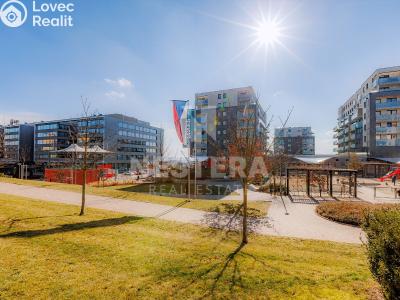 Rent apartment 4+KK Praha, náměstí Junkových č. 26