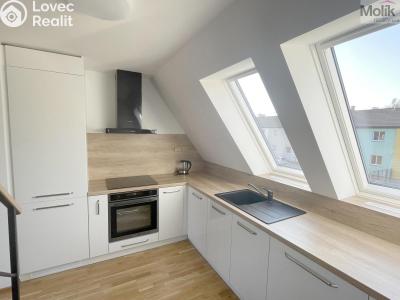 Rent apartment 2+KK Most, Hollarova č. 1