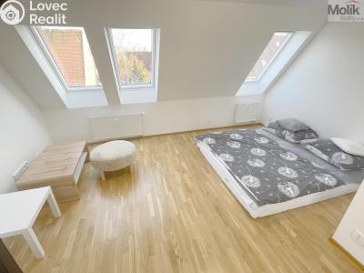 Rent apartment 2+KK Most, Hollarova č. 8