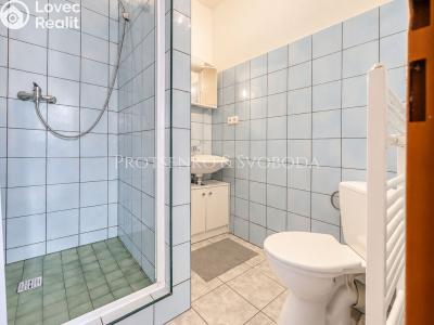 Продажа семейного дома Strachotín, Sklepní č. 31