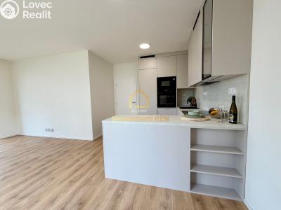 Аренда квартиры 2+KK Ostrava, Provaznická č. 9