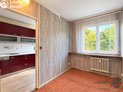 Sale apartment 4+1 Hradec Králové, Slezská č. 3