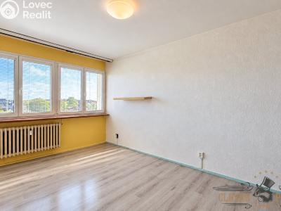 Sale apartment 4+1 Hradec Králové, Slezská č. 9