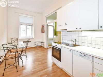 Rent apartment 1+1 Praha, Neklanova č. 19