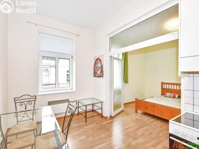 Rent apartment 1+1 Praha, Neklanova č. 1