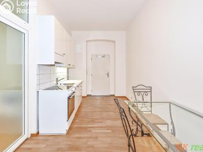 Rent apartment 1+1 Praha, Neklanova č. 2
