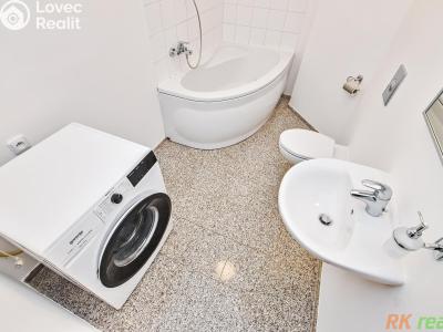 Rent apartment 1+1 Praha, Neklanova č. 9