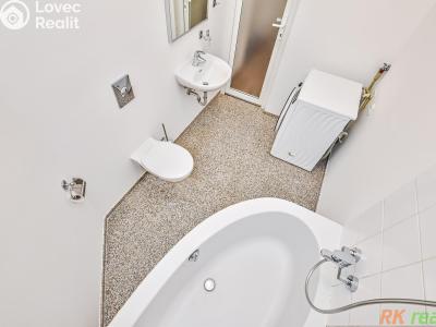 Rent apartment 1+1 Praha, Neklanova č. 11