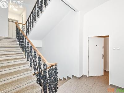 Rent apartment 1+1 Praha, Neklanova č. 18