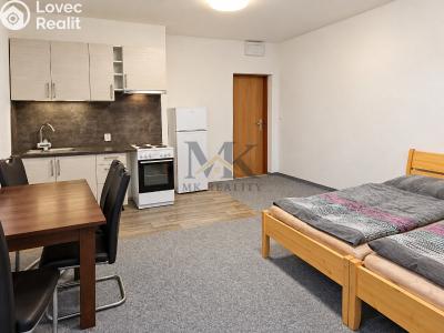 Rent apartment 1+KK Zdíkov č. 2