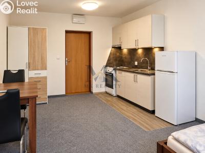 Rent apartment 1+KK Zdíkov č. 3