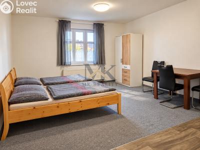 Rent apartment 1+KK Zdíkov č. 4