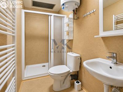 Rent apartment 1+KK Zdíkov č. 5