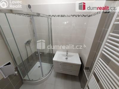 Rent apartment 2+1 Plzeň, Hálkova č. 5