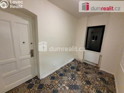 Rent apartment 2+1 Plzeň, Hálkova č. 6