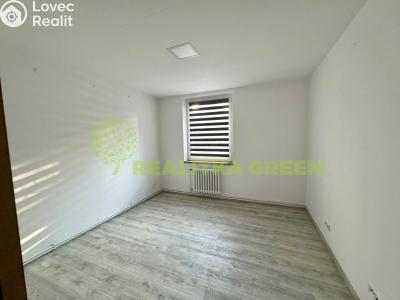 Rent apartment 2+1 Slušovice, Padělky 541 č. 13