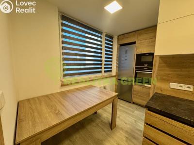 Rent apartment 2+1 Slušovice, Padělky 541 č. 6