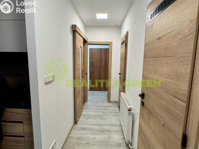 Rent apartment 2+1 Slušovice, Padělky 541 č. 3