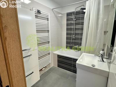 Rent apartment 2+1 Slušovice, Padělky 541 č. 9