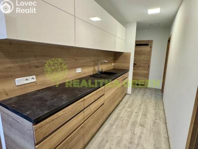Rent apartment 2+1 Slušovice, Padělky 541 č. 10