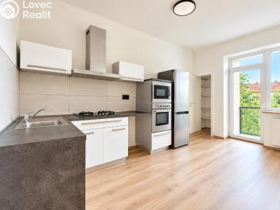 Продажа квартиры 1+1 Brno, Došlíkova č. 1