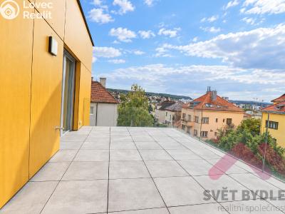 Rent apartment 3+KK Praha, Nesvadbova č. 1