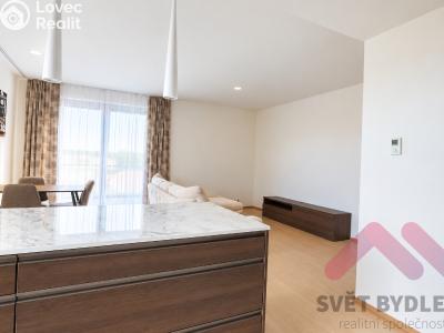 Rent apartment 3+KK Praha, Nesvadbova č. 8
