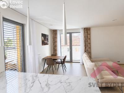 Rent apartment 3+KK Praha, Nesvadbova č. 9