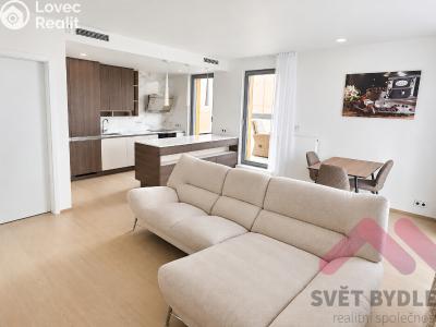 Rent apartment 3+KK Praha, Nesvadbova č. 11
