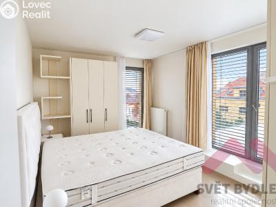 Rent apartment 3+KK Praha, Nesvadbova č. 18