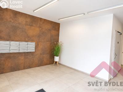 Rent apartment 3+KK Praha, Nesvadbova č. 31