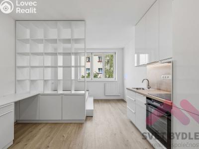 Rent apartment 1+KK Praha, Biskupcova č. 1