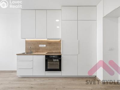 Rent apartment 1+KK Praha, Biskupcova č. 2