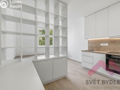 Rent apartment 1+KK Praha, Biskupcova č. 3