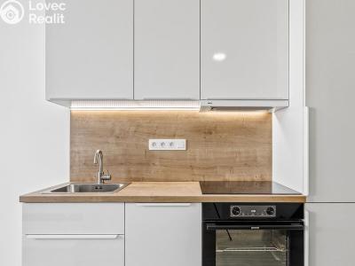 Rent apartment 1+KK Praha, Biskupcova č. 4