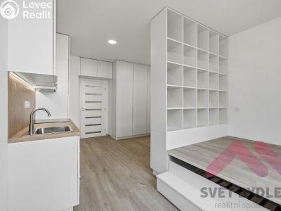 Rent apartment 1+KK Praha, Biskupcova č. 12