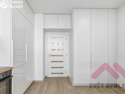 Rent apartment 1+KK Praha, Biskupcova č. 13