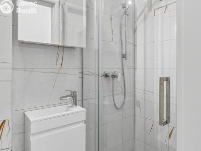 Rent apartment 1+KK Praha, Biskupcova č. 15