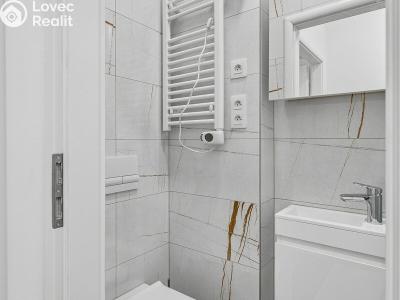 Rent apartment 1+KK Praha, Biskupcova č. 16