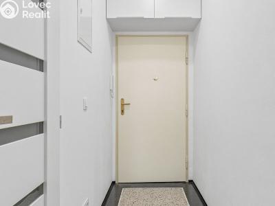 Rent apartment 1+KK Praha, Biskupcova č. 17
